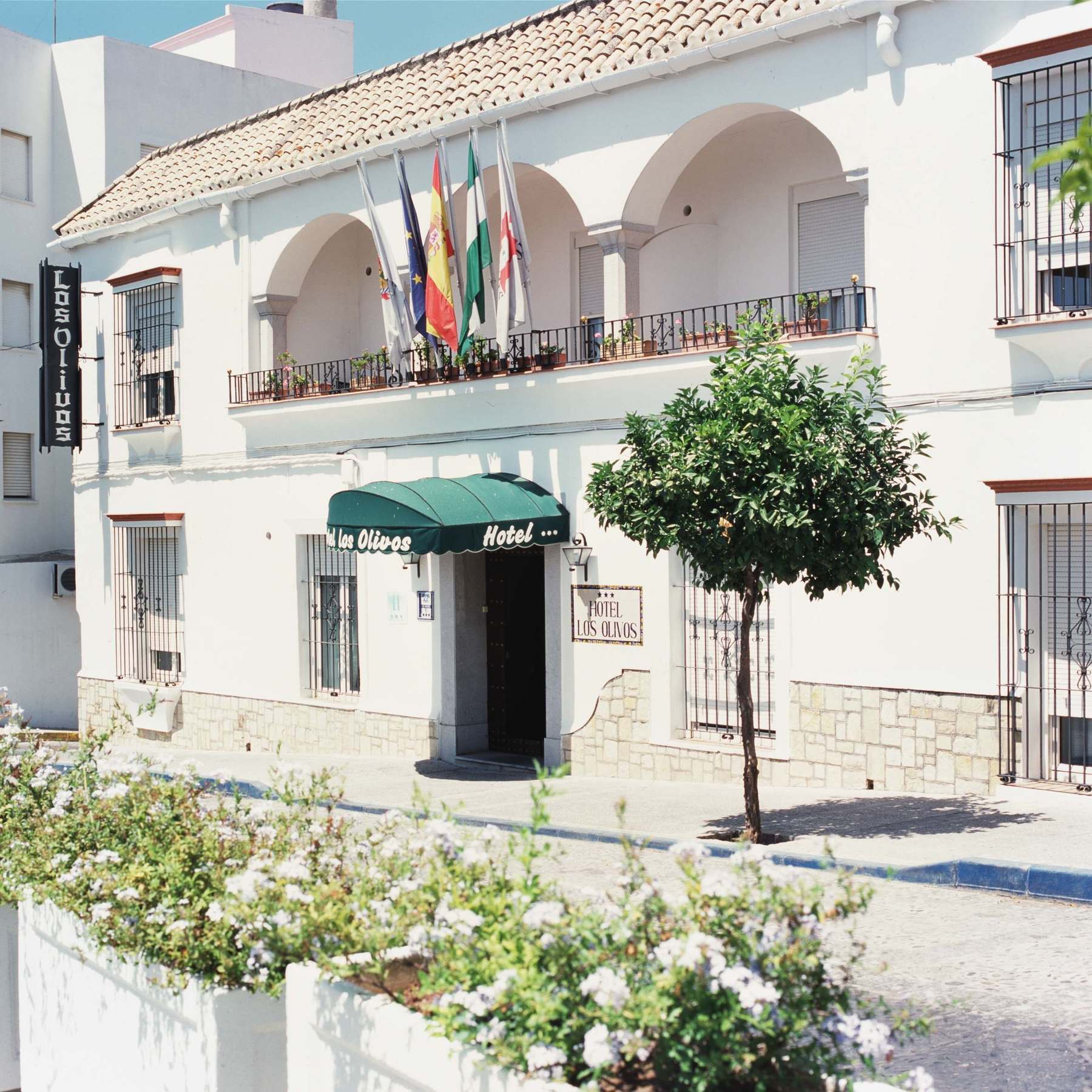 Hotel Los Olivos Arcos de la Frontera Exterior photo